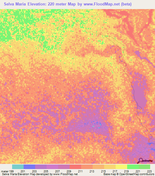 Selva Maria,Argentina Elevation Map