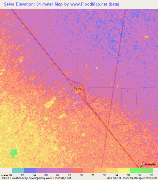 Selva,Argentina Elevation Map
