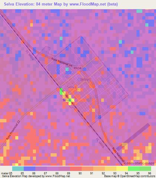 Selva,Argentina Elevation Map