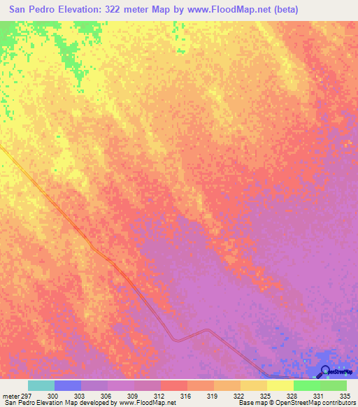 San Pedro,Argentina Elevation Map