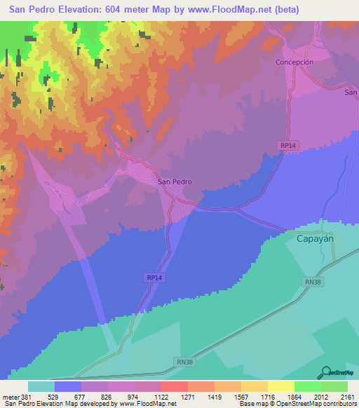 San Pedro,Argentina Elevation Map