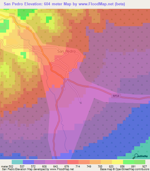San Pedro,Argentina Elevation Map