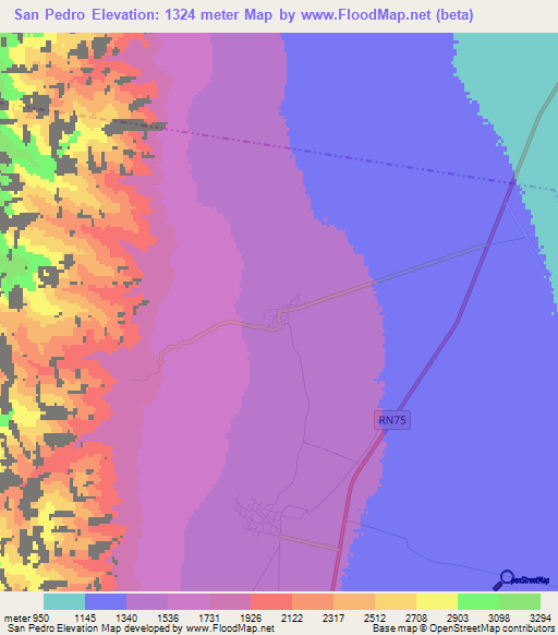 San Pedro,Argentina Elevation Map