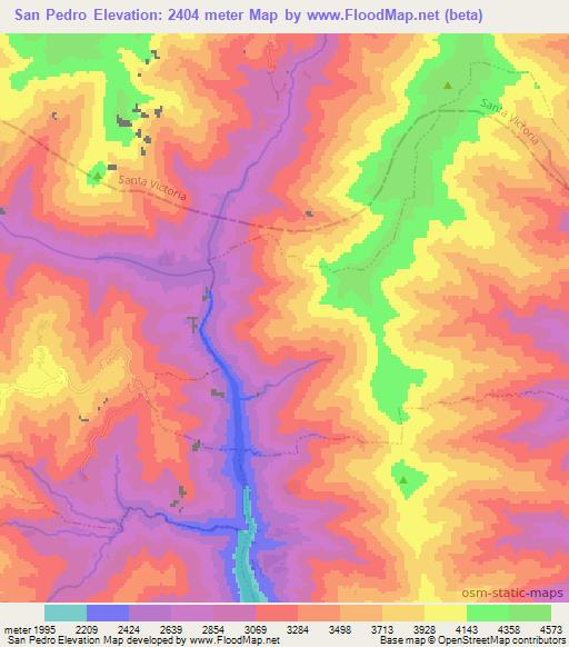 San Pedro,Argentina Elevation Map