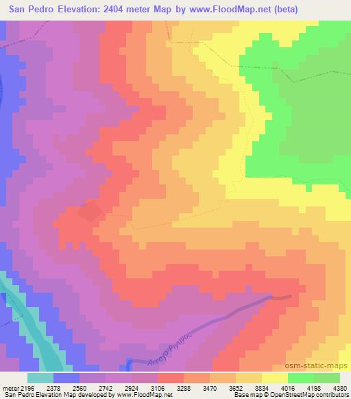San Pedro,Argentina Elevation Map