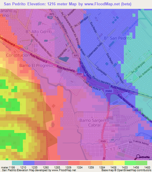 San Pedrito,Argentina Elevation Map