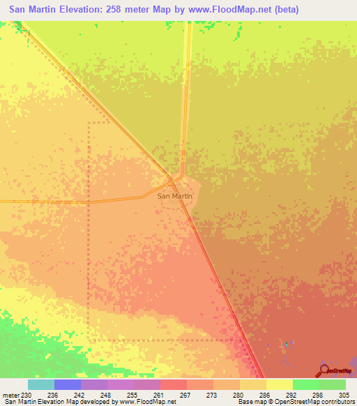 San Martin,Argentina Elevation Map