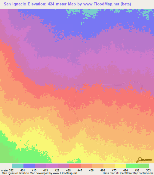 San Ignacio,Argentina Elevation Map