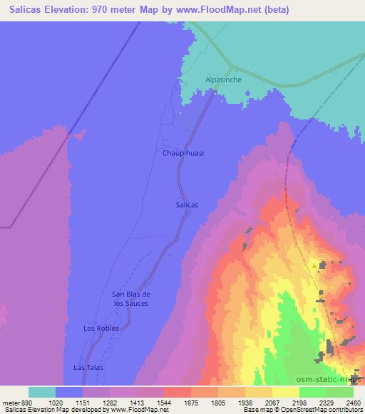 Salicas,Argentina Elevation Map