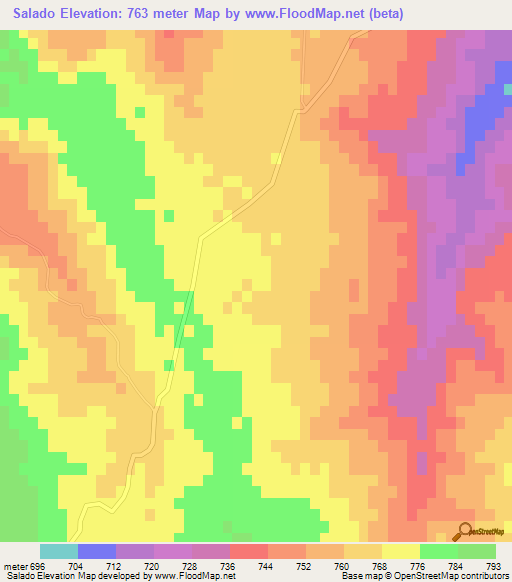 Salado,Argentina Elevation Map