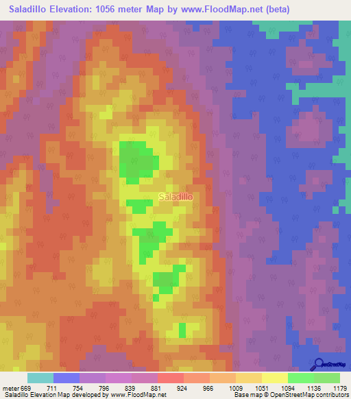 Saladillo,Argentina Elevation Map