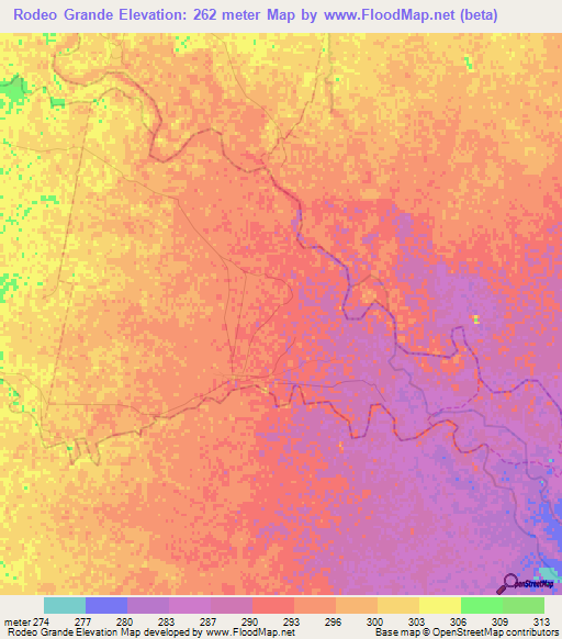 Rodeo Grande,Argentina Elevation Map