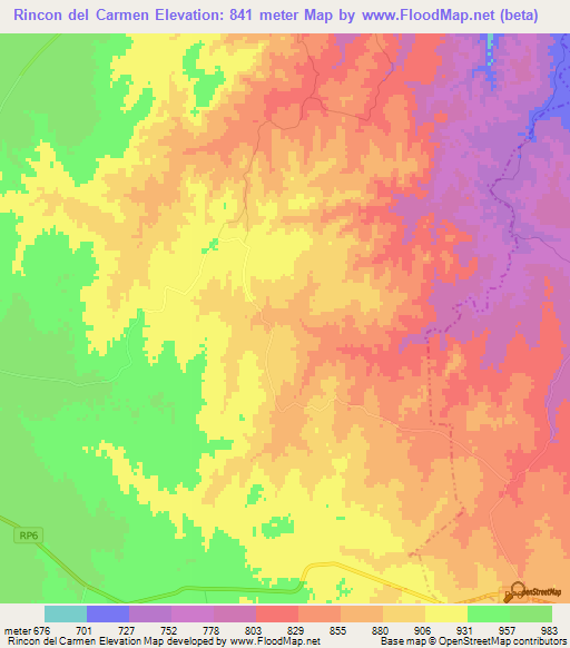 Rincon del Carmen,Argentina Elevation Map