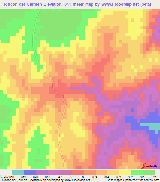 Rincon del Carmen,Argentina Elevation Map