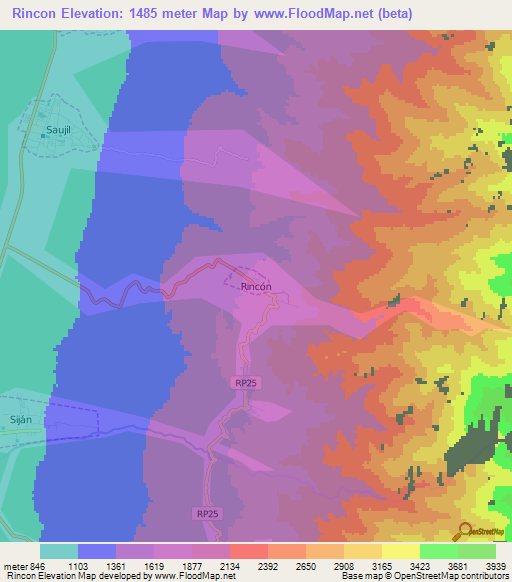 Rincon,Argentina Elevation Map