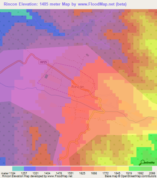Rincon,Argentina Elevation Map