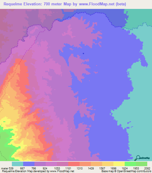 Requelme,Argentina Elevation Map