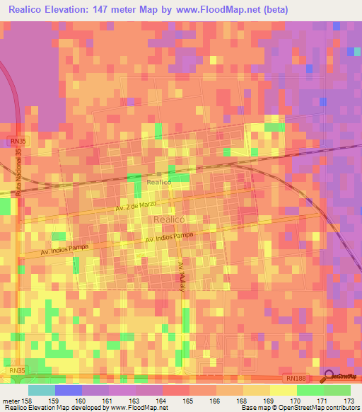 Realico,Argentina Elevation Map