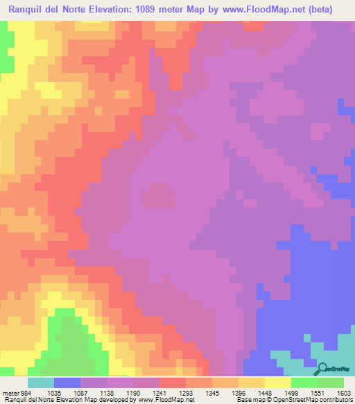 Ranquil del Norte,Argentina Elevation Map