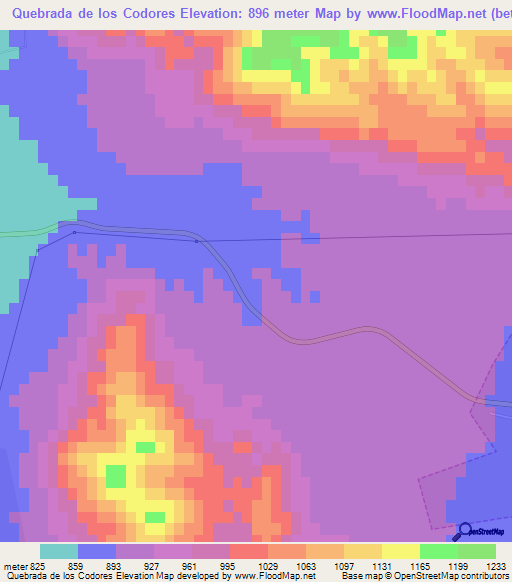 Quebrada de los Codores,Argentina Elevation Map