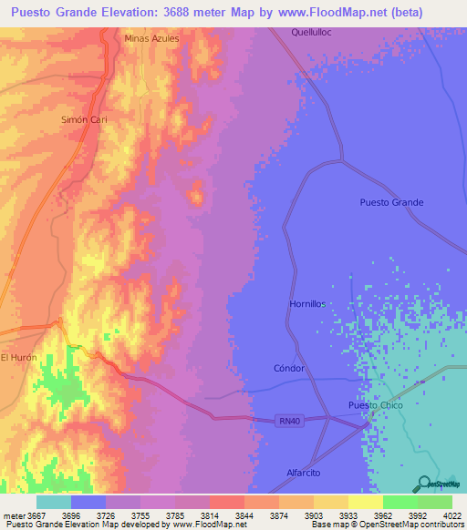 Puesto Grande,Argentina Elevation Map
