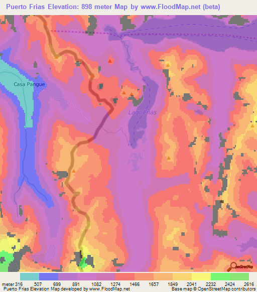 Puerto Frias,Argentina Elevation Map