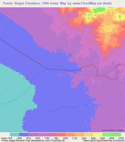 Puerto Alegre,Argentina Elevation Map