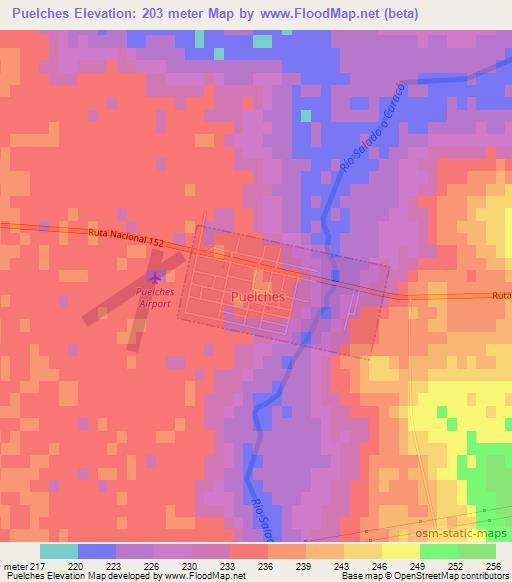 Puelches,Argentina Elevation Map