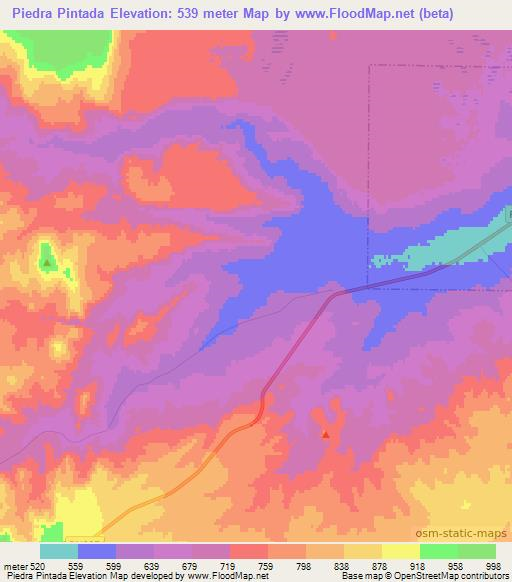 Piedra Pintada,Argentina Elevation Map
