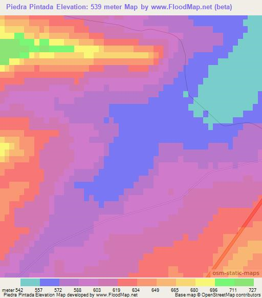 Piedra Pintada,Argentina Elevation Map