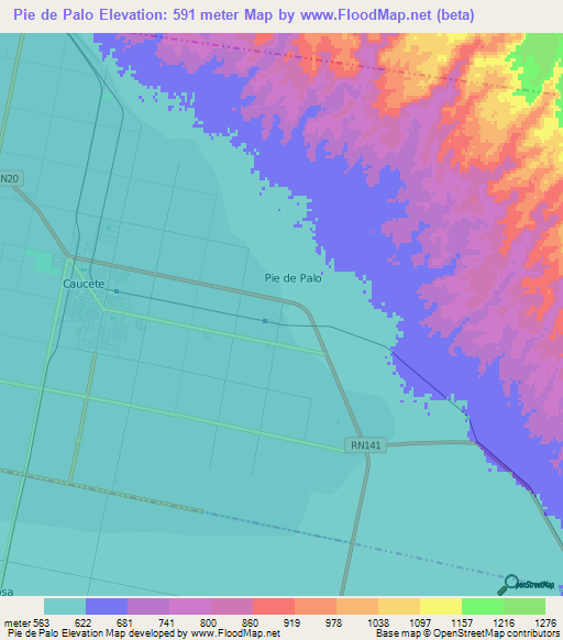 Pie de Palo,Argentina Elevation Map