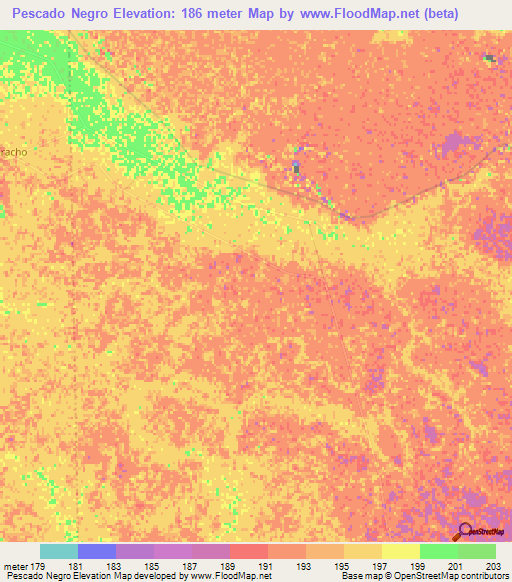 Pescado Negro,Argentina Elevation Map