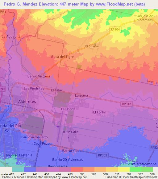 Pedro G. Mendez,Argentina Elevation Map