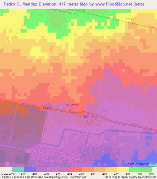 Pedro G. Mendez,Argentina Elevation Map