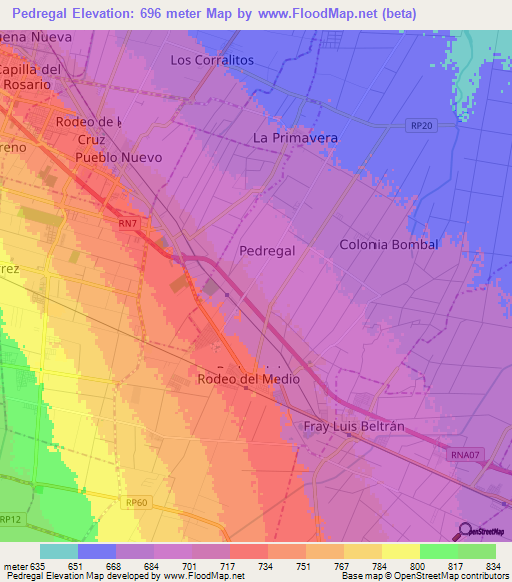 Pedregal,Argentina Elevation Map