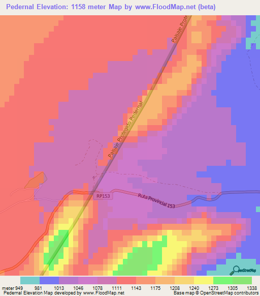 Pedernal,Argentina Elevation Map