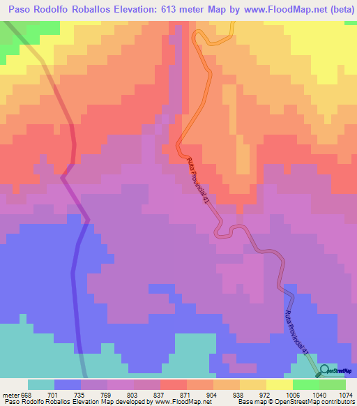 Paso Rodolfo Roballos,Argentina Elevation Map