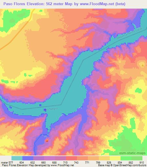 Paso Flores,Argentina Elevation Map