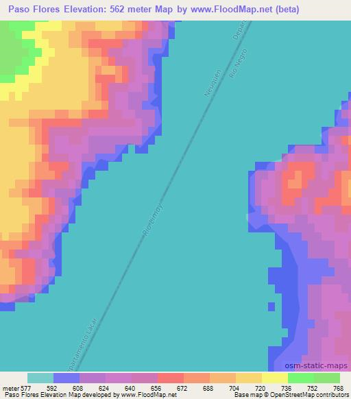 Paso Flores,Argentina Elevation Map