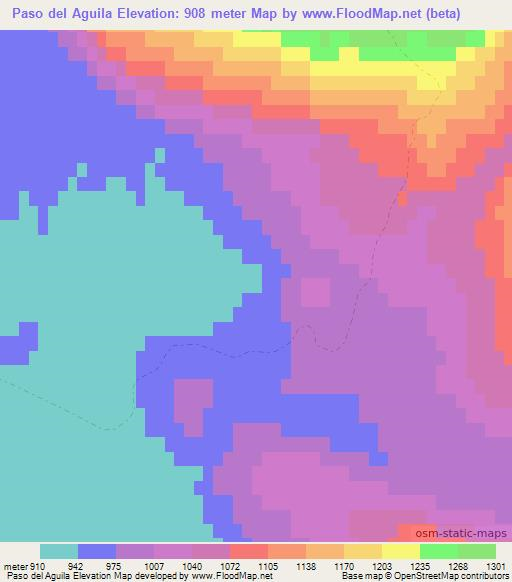 Paso del Aguila,Argentina Elevation Map
