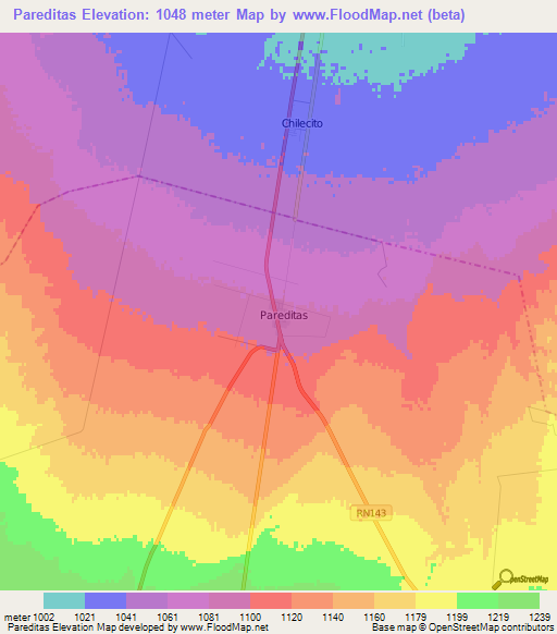 Pareditas,Argentina Elevation Map