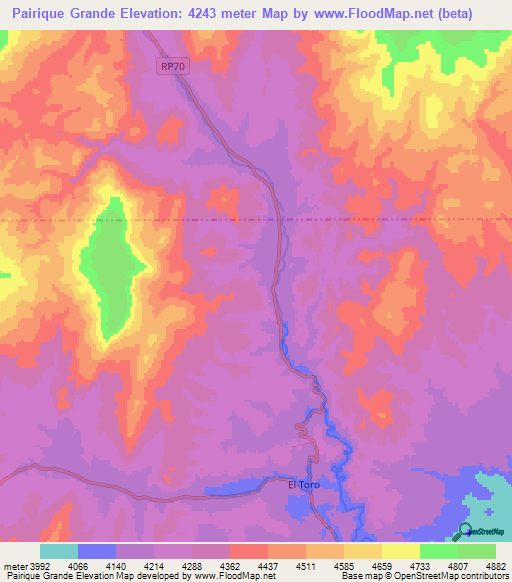 Pairique Grande,Argentina Elevation Map