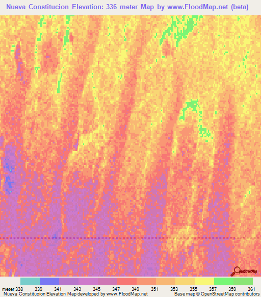 Nueva Constitucion,Argentina Elevation Map