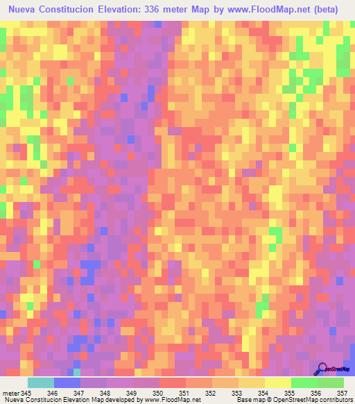 Nueva Constitucion,Argentina Elevation Map