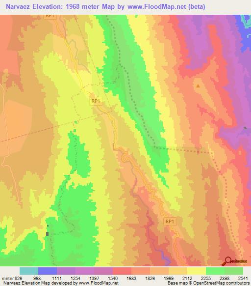 Narvaez,Argentina Elevation Map