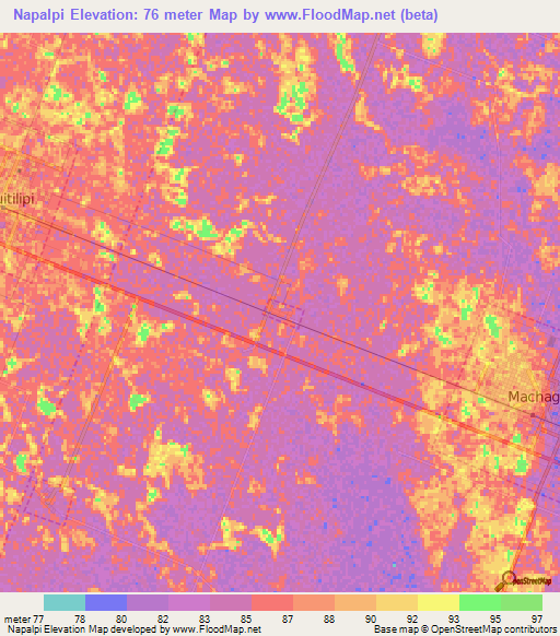 Napalpi,Argentina Elevation Map