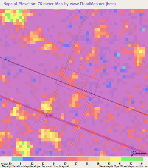 Napalpi,Argentina Elevation Map