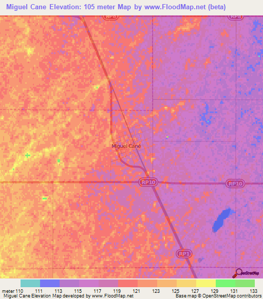 Miguel Cane,Argentina Elevation Map