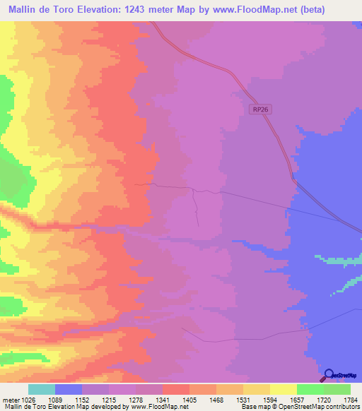 Mallin de Toro,Argentina Elevation Map