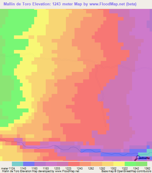 Mallin de Toro,Argentina Elevation Map